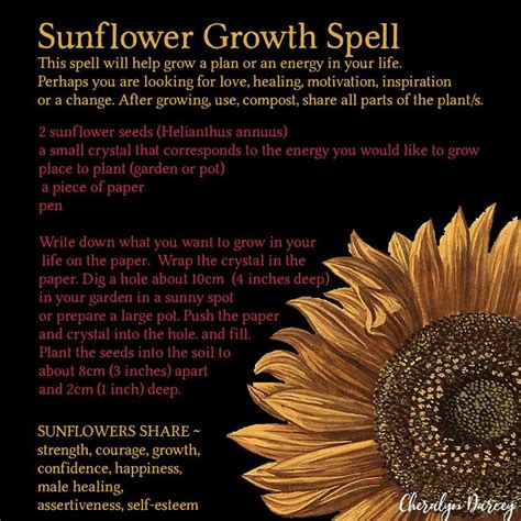 Enhancing Well-being through the Spell of the Golden Flower